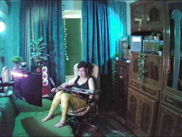 Infodar webcam