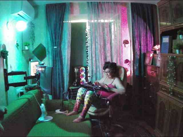 Infodar webcam