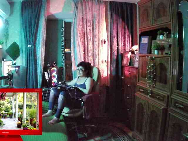 Infodar webcam