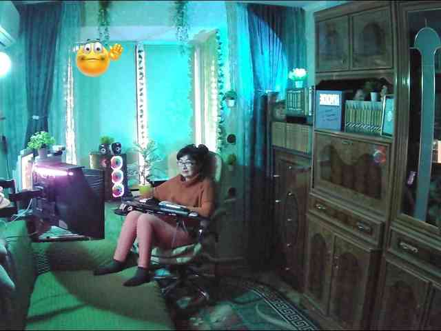 Infodar webcam