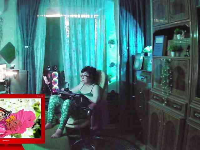 Infodar webcam