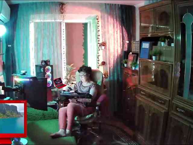 Infodar webcam