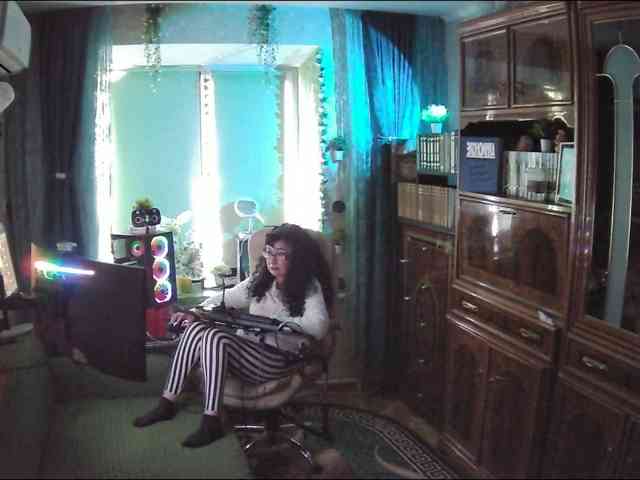 Infodar webcam