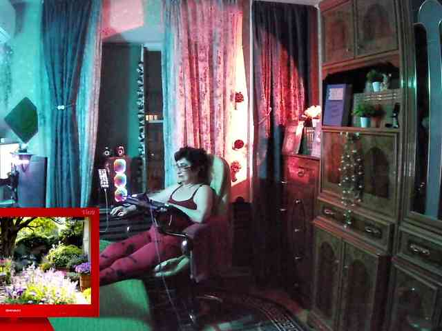 Infodar webcam