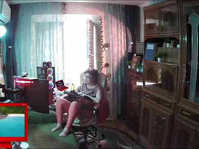 Infodar webcam