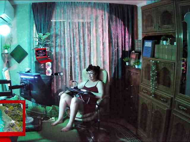 Infodar webcam