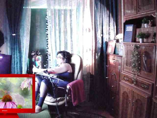 Infodar webcam