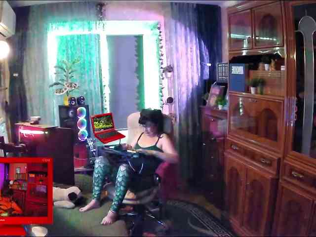Infodar webcam