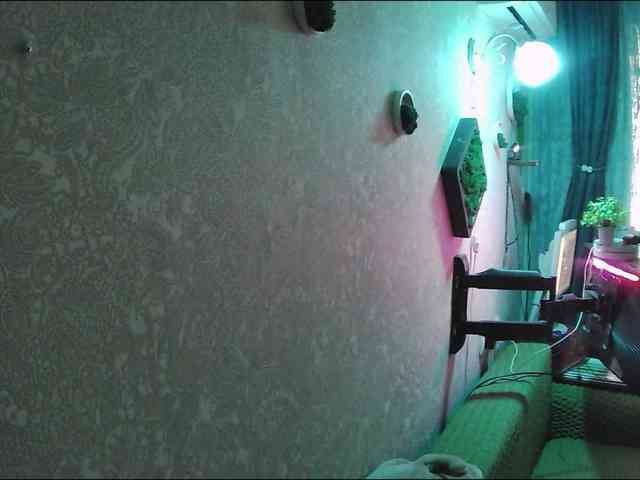 Infodar webcam