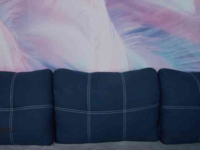 TouchMeNow webcam