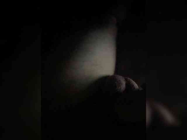 ilinin0011