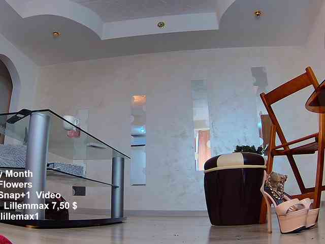 lillemax webcam