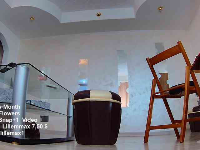 lillemax webcam