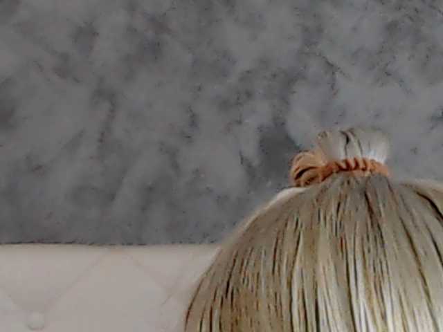 ClaudieTaylon live cam