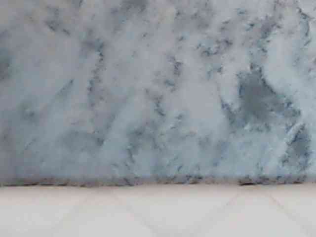 Modèle: ClaudieTaylon