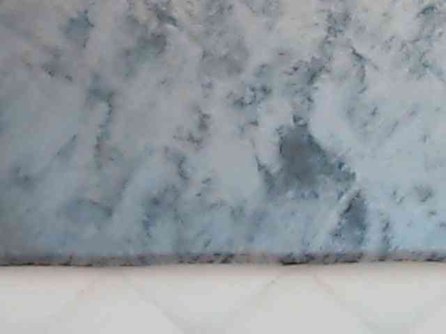 ClaudieTaylon webcam