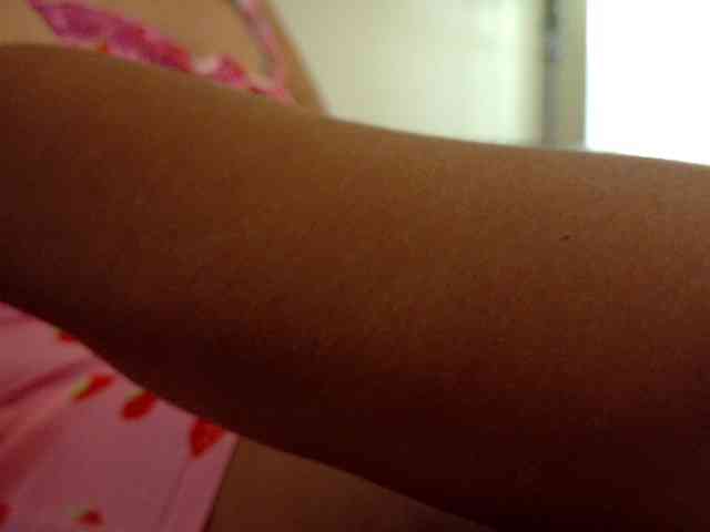 Modelo: BonVivantt