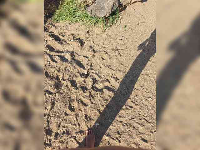 _Firsa_