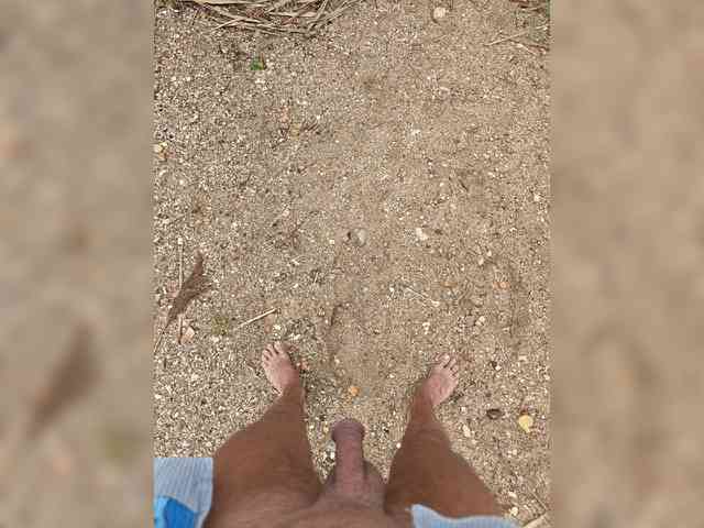 mixaver