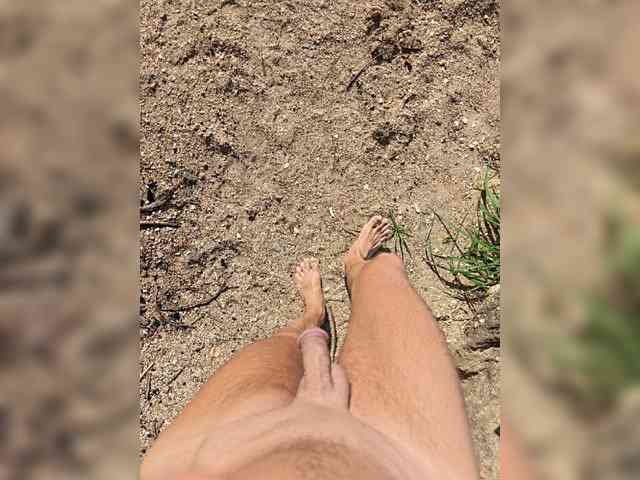 _Firsa_