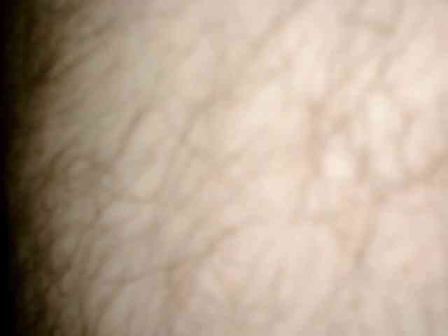 Nymphoboy Sex Cam Show