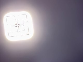 _Anasteisha_