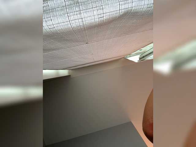 _Anasteisha_