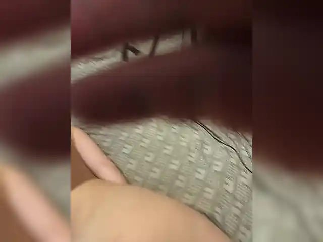 AdamEve