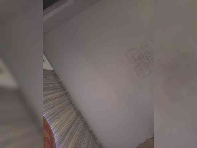 -Smetanka- webcam
