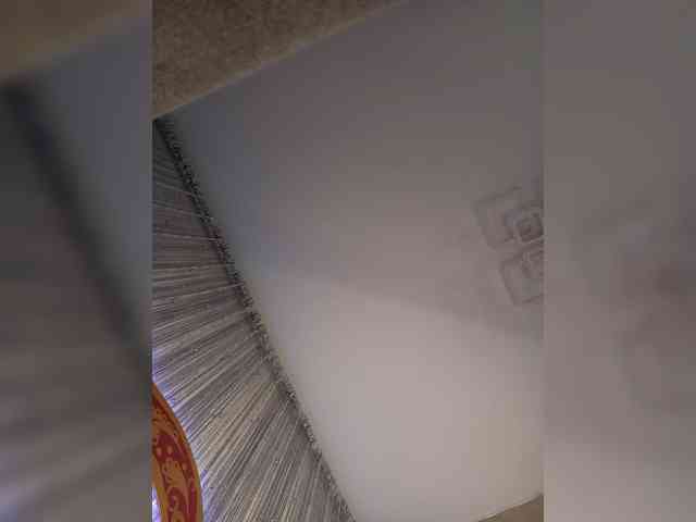 -Smetanka- webcam