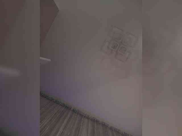 -Smetanka- webcam