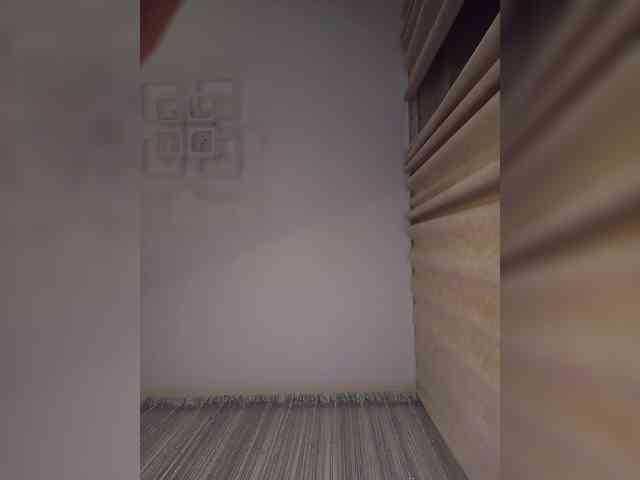 -Smetanka- webcam