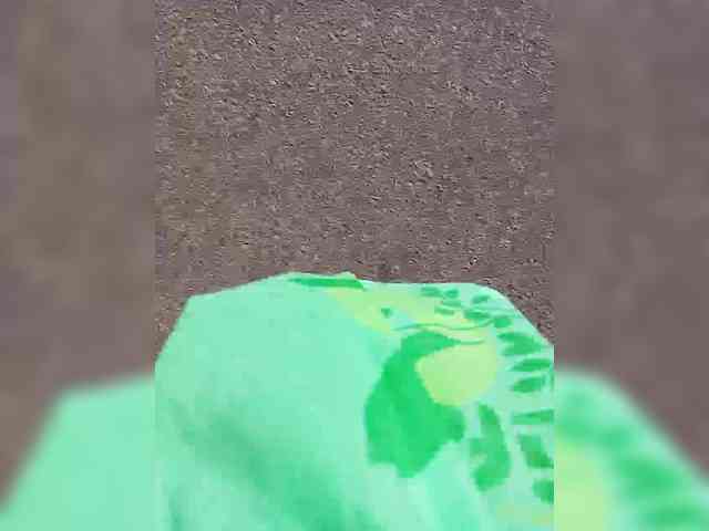 RelishSavor webcam