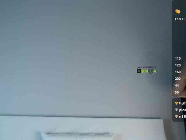 SidneySi webcam