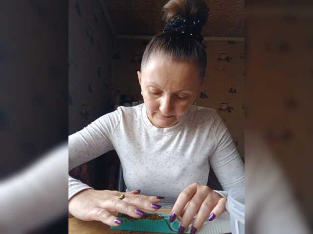 Zarevna