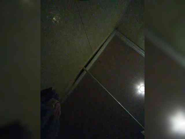 Zarevna webcam