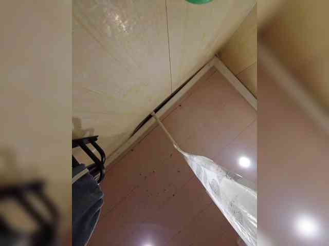 Zarevna webcam