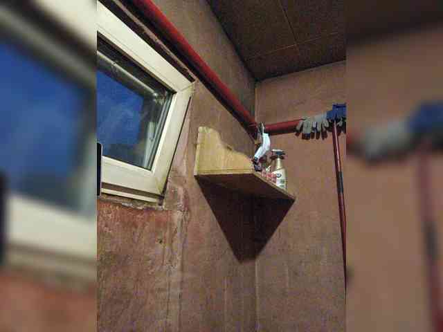 Zarevna webcam