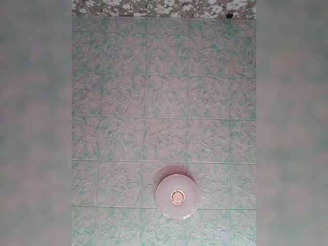 Zarevna webcam