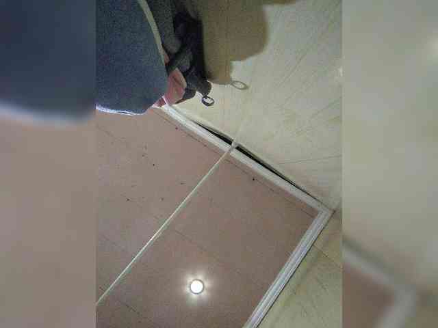 Zarevna webcam