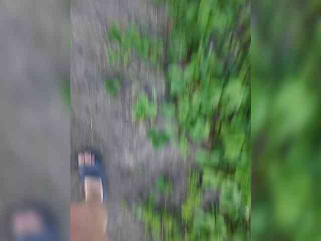 Zarevna webcam