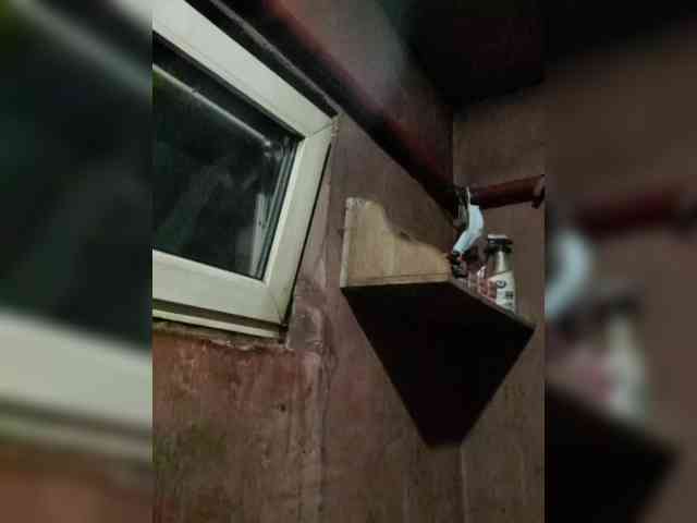 Zarevna webcam