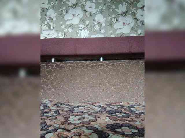 Zarevna webcam