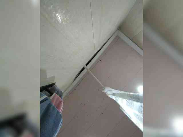 Zarevna webcam