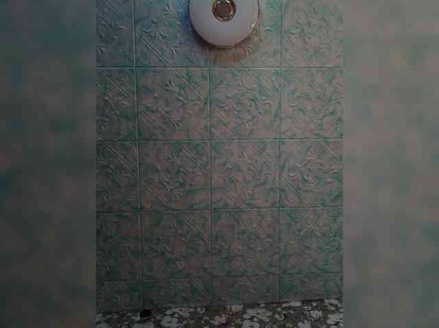 Zarevna webcam
