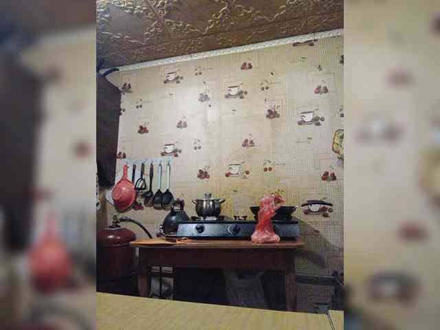 Zarevna webcam