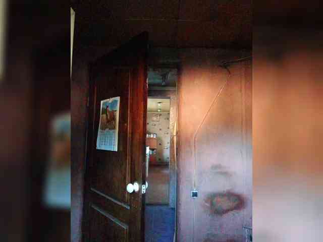 Zarevna webcam