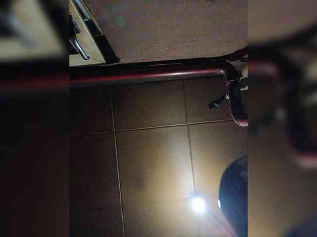 Zarevna webcam