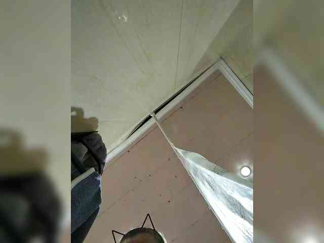 Zarevna webcam