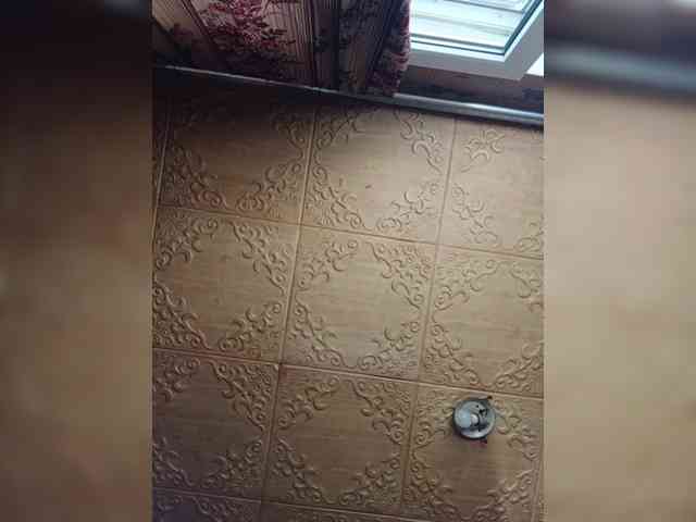 Zarevna webcam